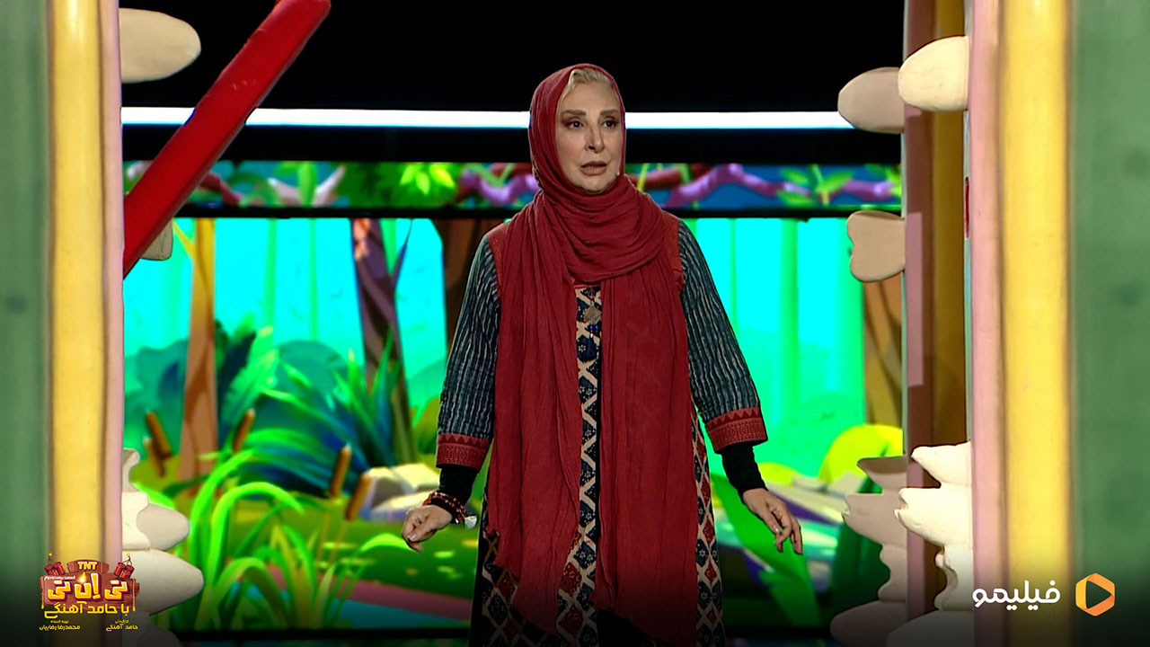 مرجانه گلچین در برنامه تی ان تی 