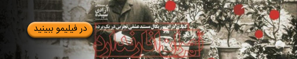 مستند تهران انار ندارد