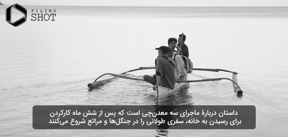 نمایی از فیلم شامپانزه