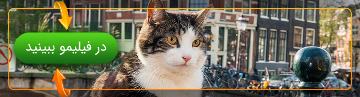 تماشای مستند Kitty Love: An Homage to Cats
