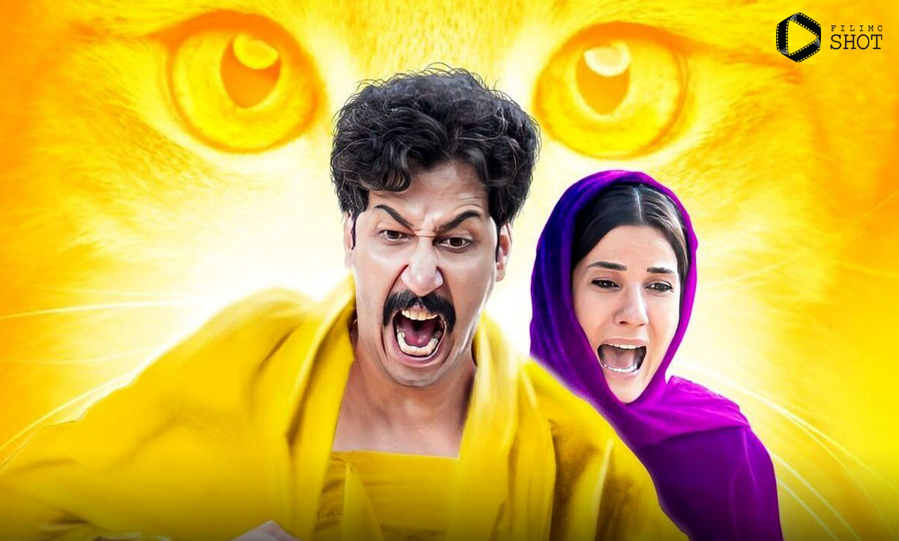 نگاهی به فیلم سینمایی سال گربه