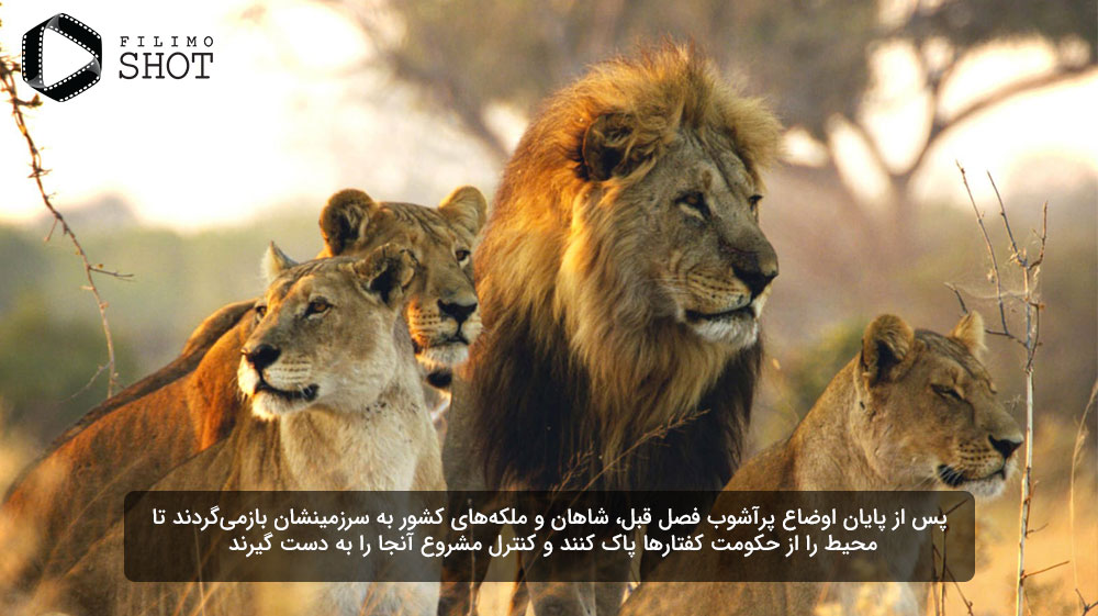 مستند پادشاهی وحشی
