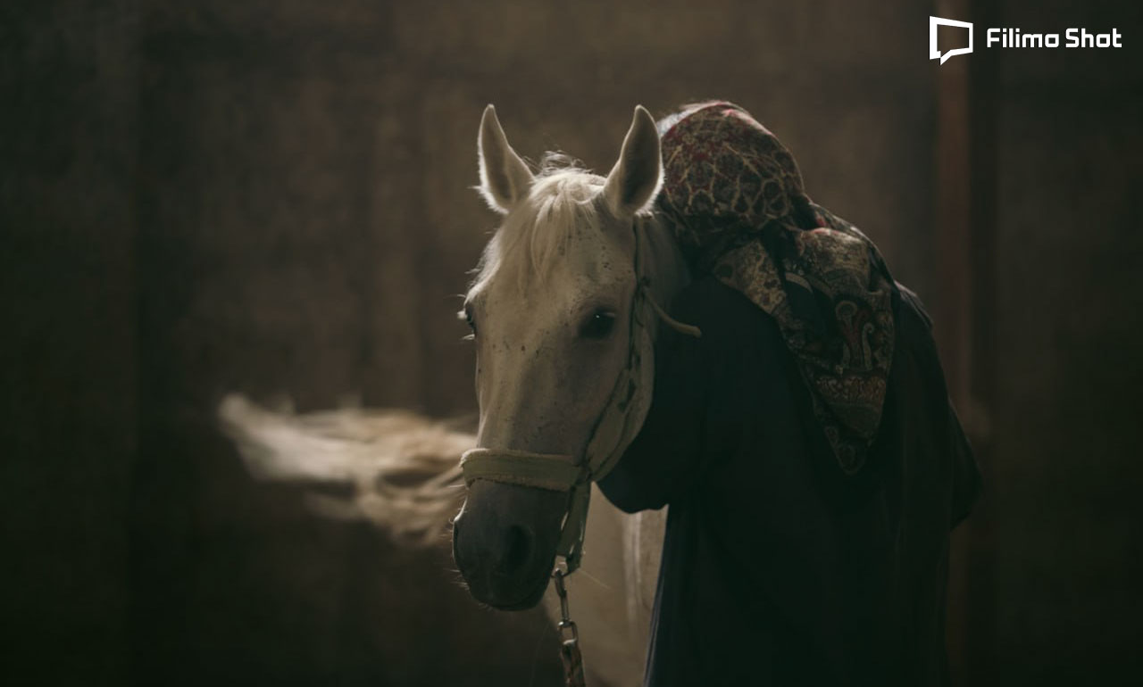 فیلم حال خوب زن 