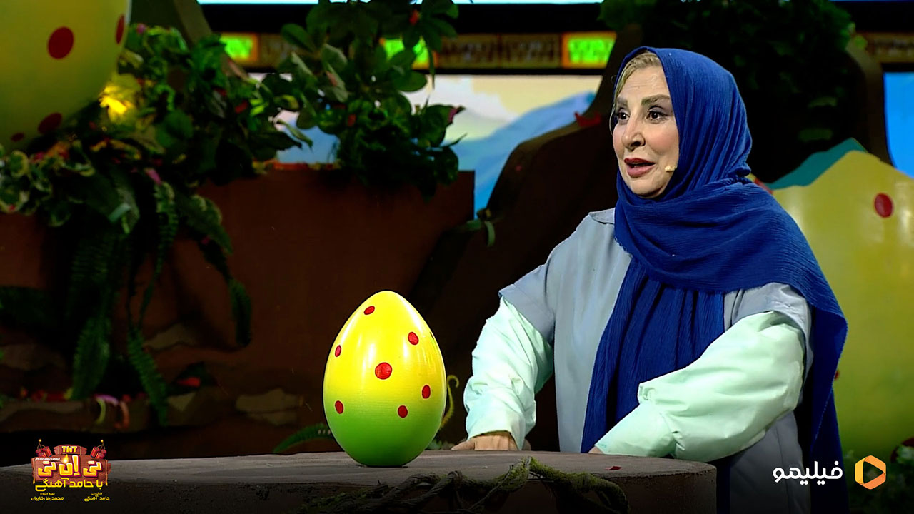 مرجانه گلچین در برنامه تی ان تی 