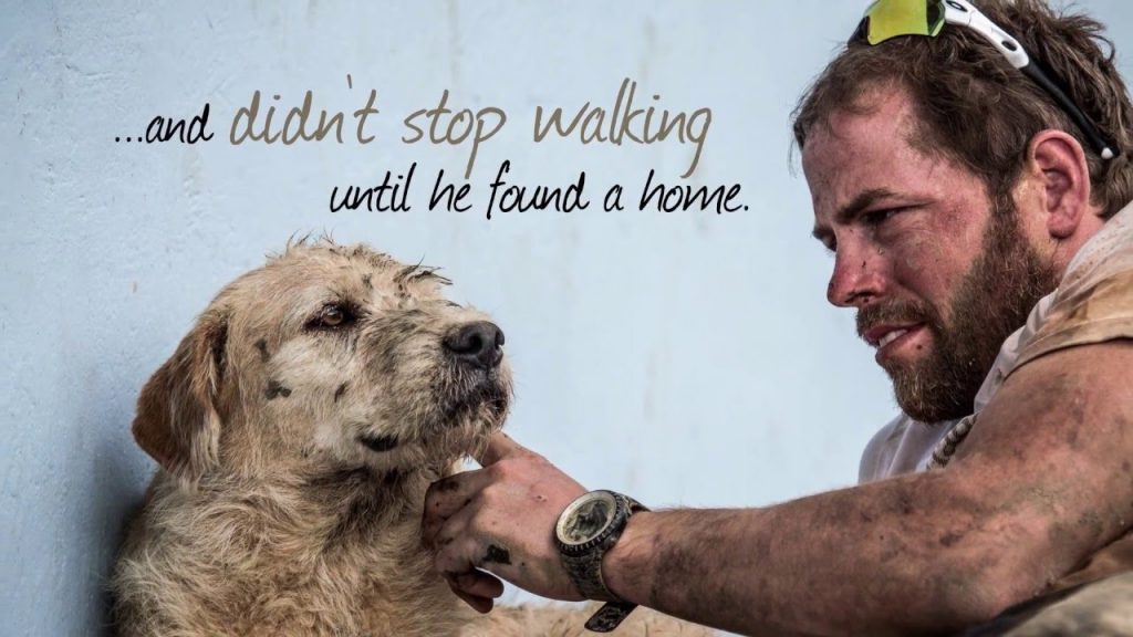 فیلم جدید مارک والبرگ از روی کتاب ساخته میشود