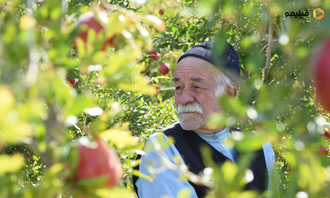 سعید پورصمیمی در فیلم برگ جان