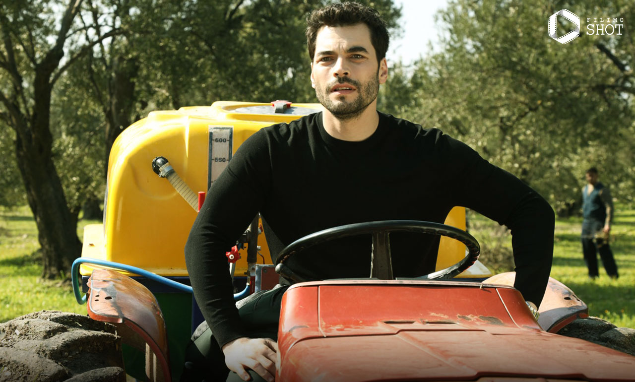 سریال گل‌های وحشی