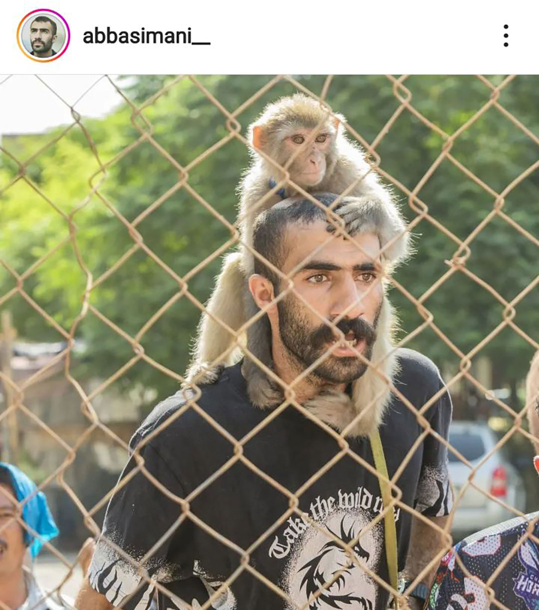 شیش دونگ باشین گرگشون رو سوا کنید 