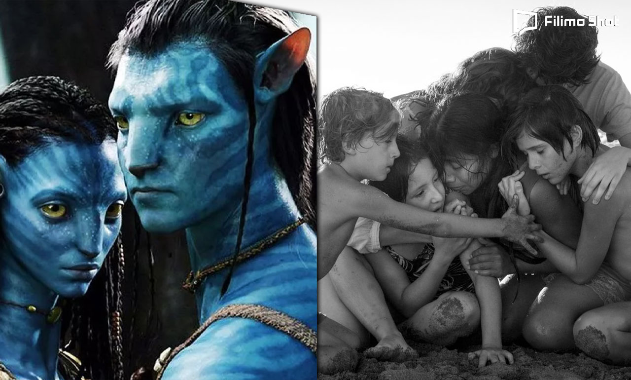 تفاوت بین فیلم جشنواره‌ای و فیلم عامه‌پسند